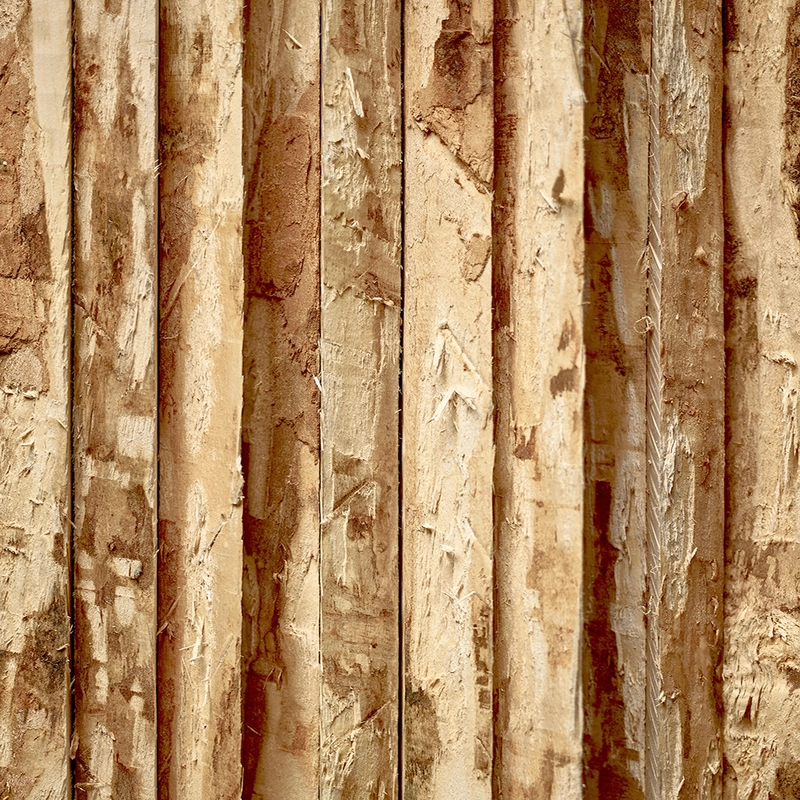 Texture de Bois brute