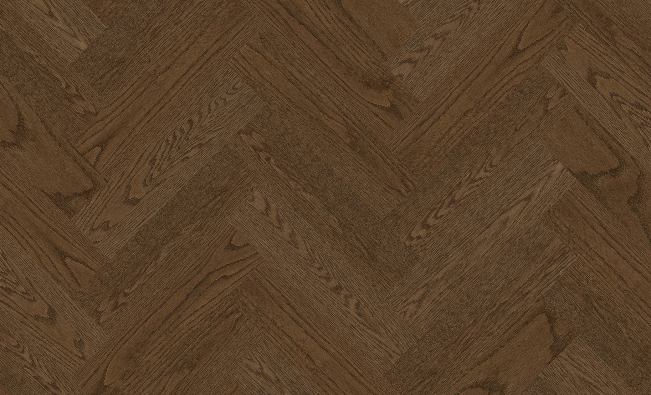 Chêne rouge Arabica