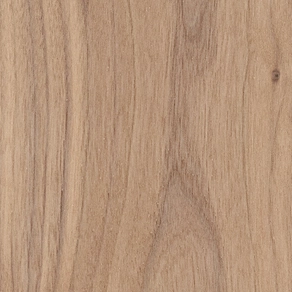 American Walnut